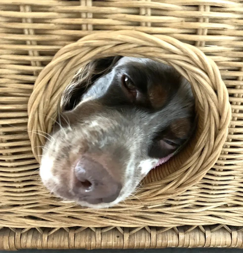 Andachtsbild von Hanne und Ude