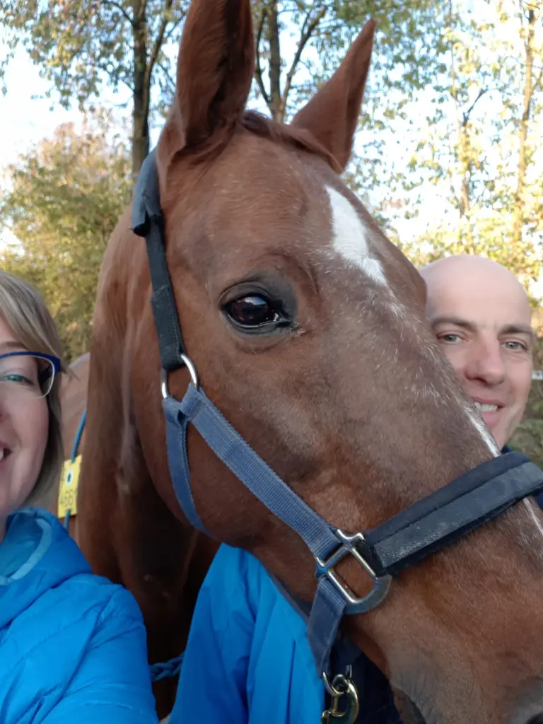 Andachtsbild von Sabine Koll