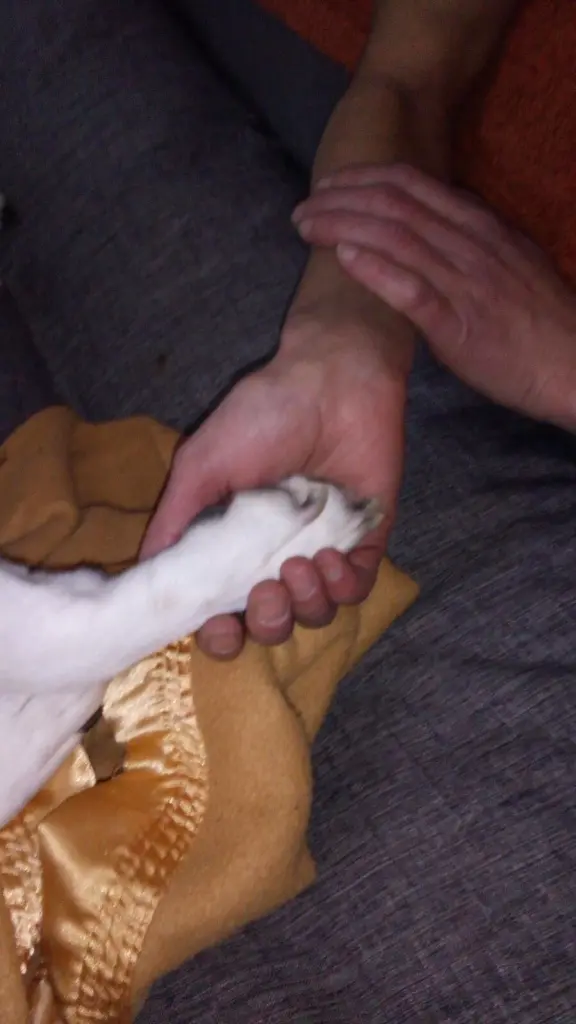 Condolence image of Melanie