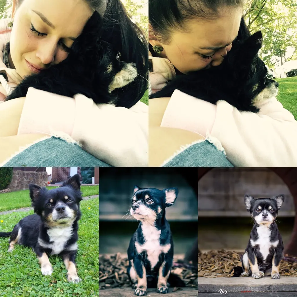 Condolence image of Franziska