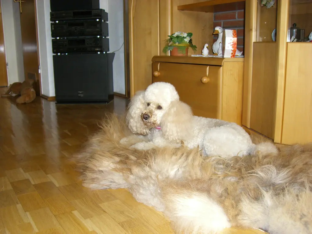 Condolence image of Margrit