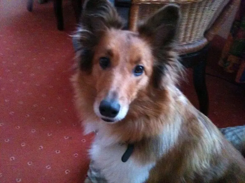 Condolence image of Katharina