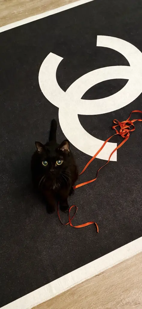 Condolence image of Nina Stephan 