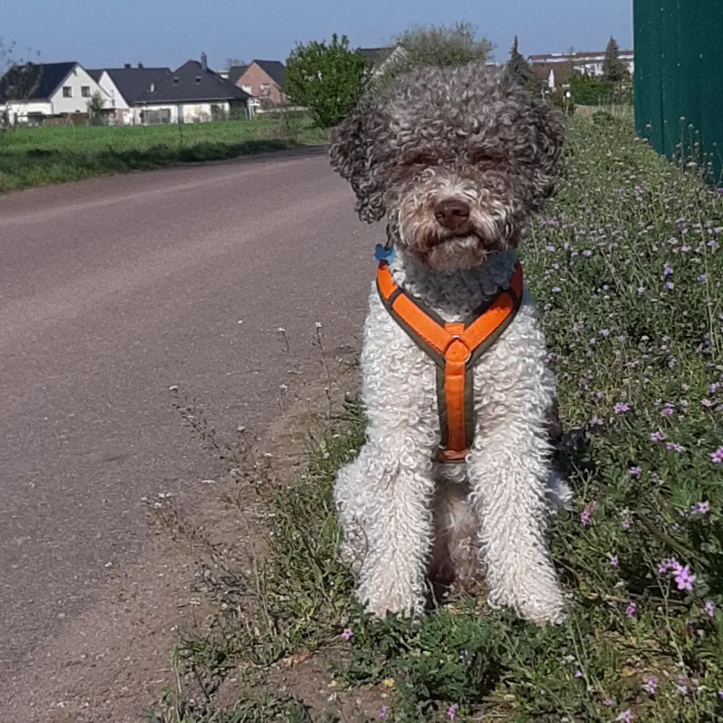 Bild von Charly