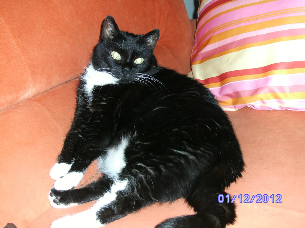 Condolence image of Jeanne - Marie