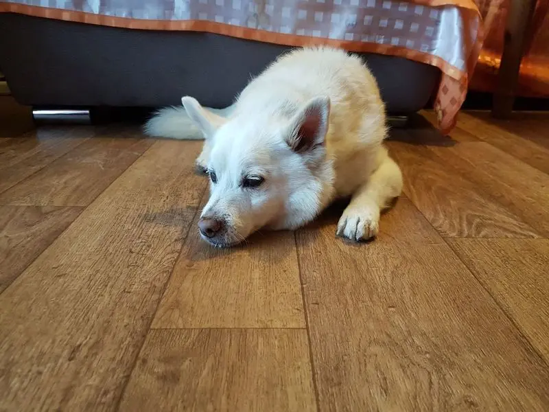 Condolence image of Simone