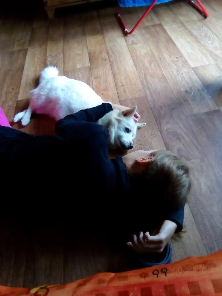 Image from Tommy Lee