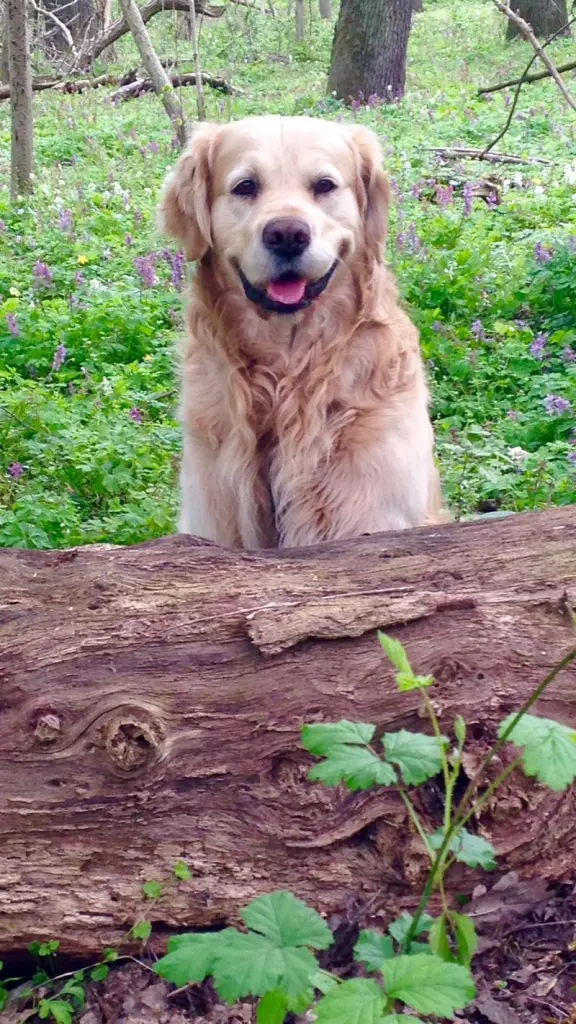 Condolence image of Martina 