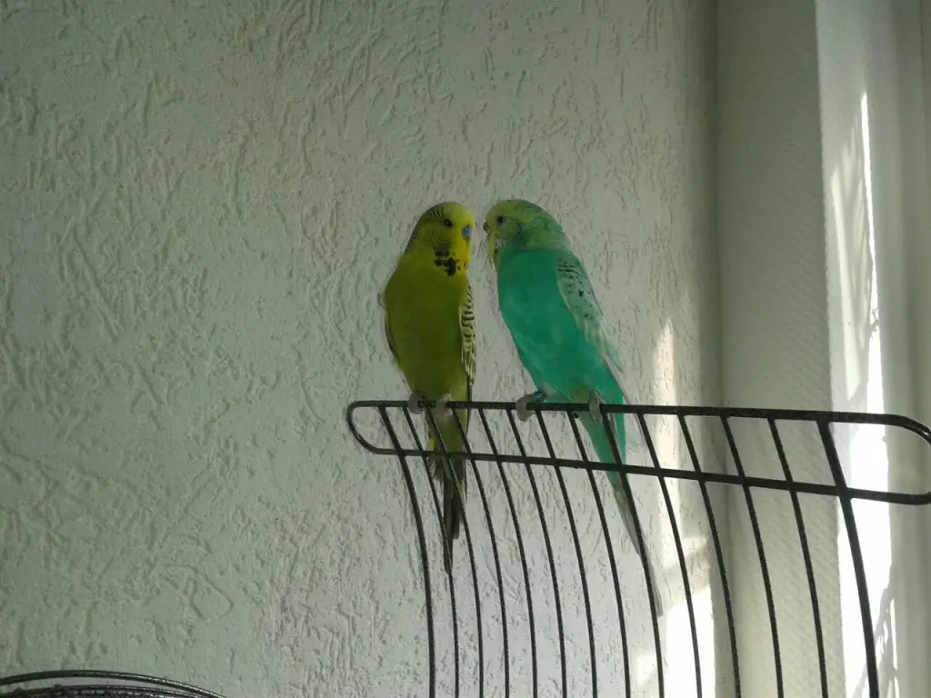 Condolence image of Jutta Kühn