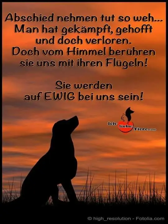 Andachtsbild von Irene mit Seelenhund Jimmy ganz tief im Herzen ♥️