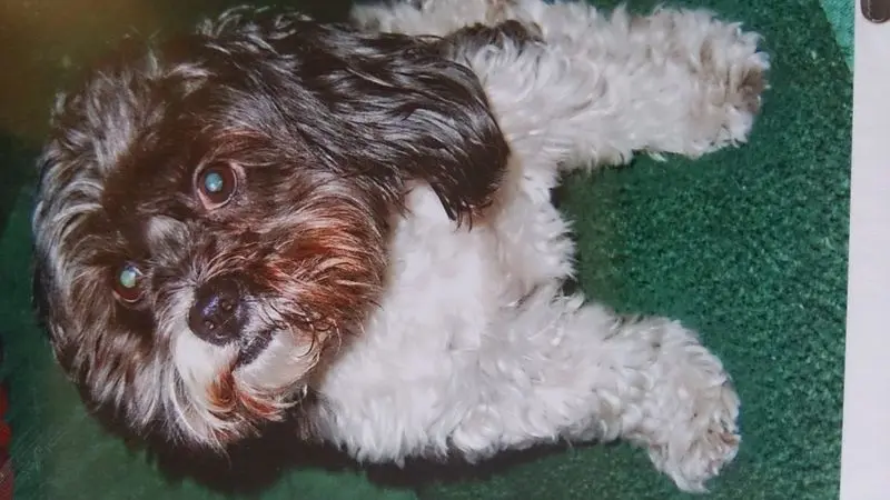 Condolence image of Sigrid 