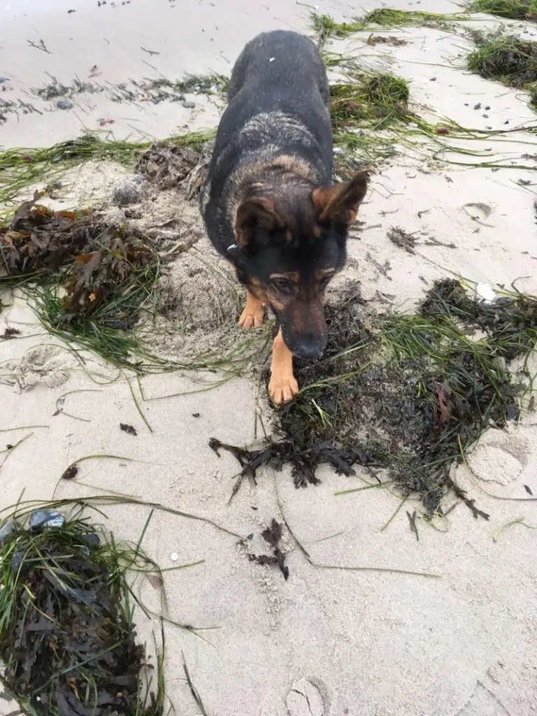 Condolence image of Bekki