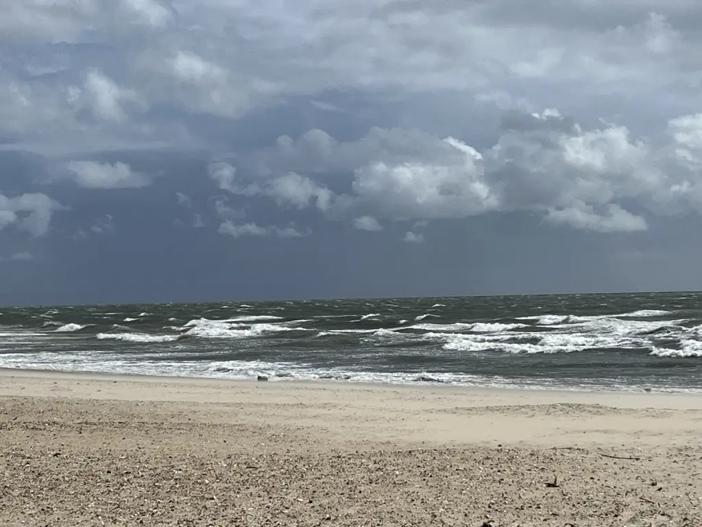 Condolence image of Herrchen