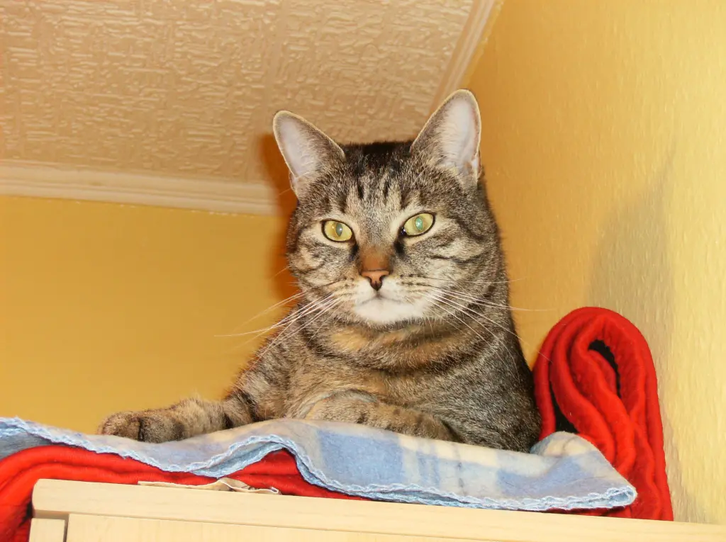 Condolence image of Matthias