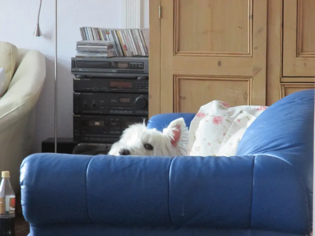 Condolence image of Bärbel