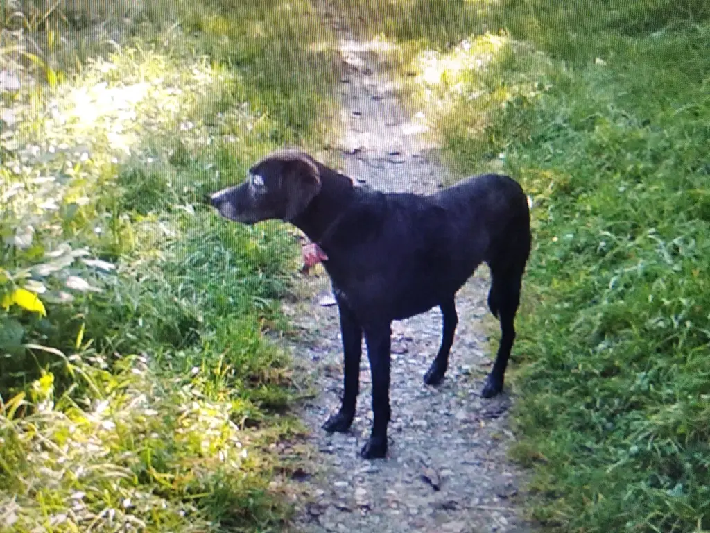 Andachtsbild von Erika Cremer