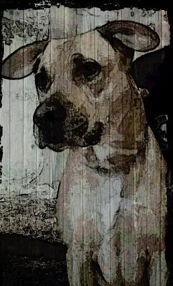 Condolence image of Miriam 