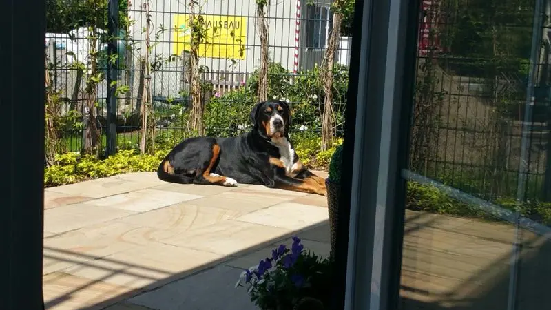 Condolence image of Maik