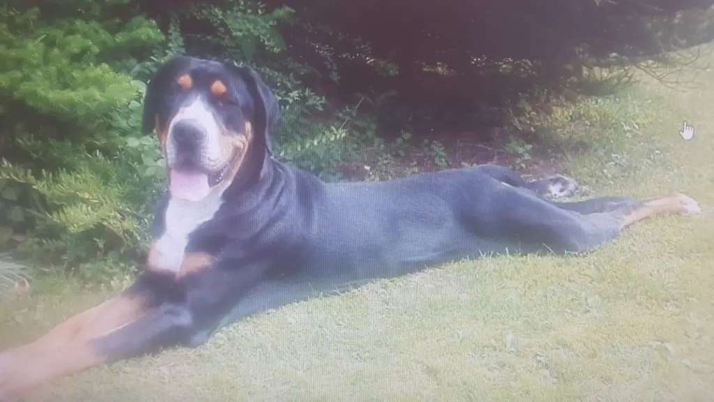 Condolence image of Maik