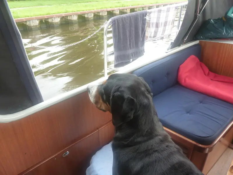 Condolence image of Maik