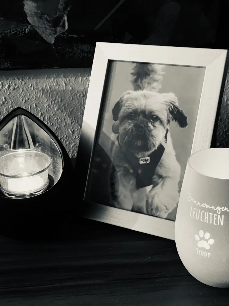 Condolence image of Sarah