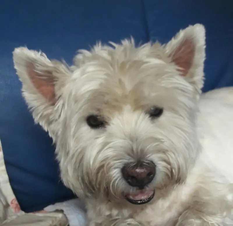 Condolence image of Unbekannt