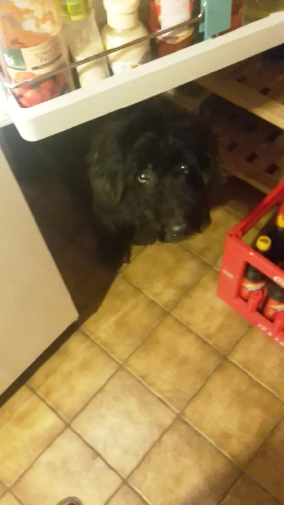 Condolence image of Bernd&jahjah