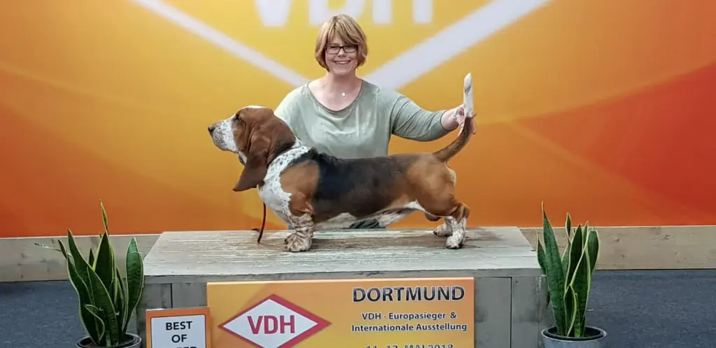 Bild von Lewis