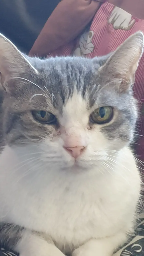 Andachtsbild von Elke mit Max tief im Herzen