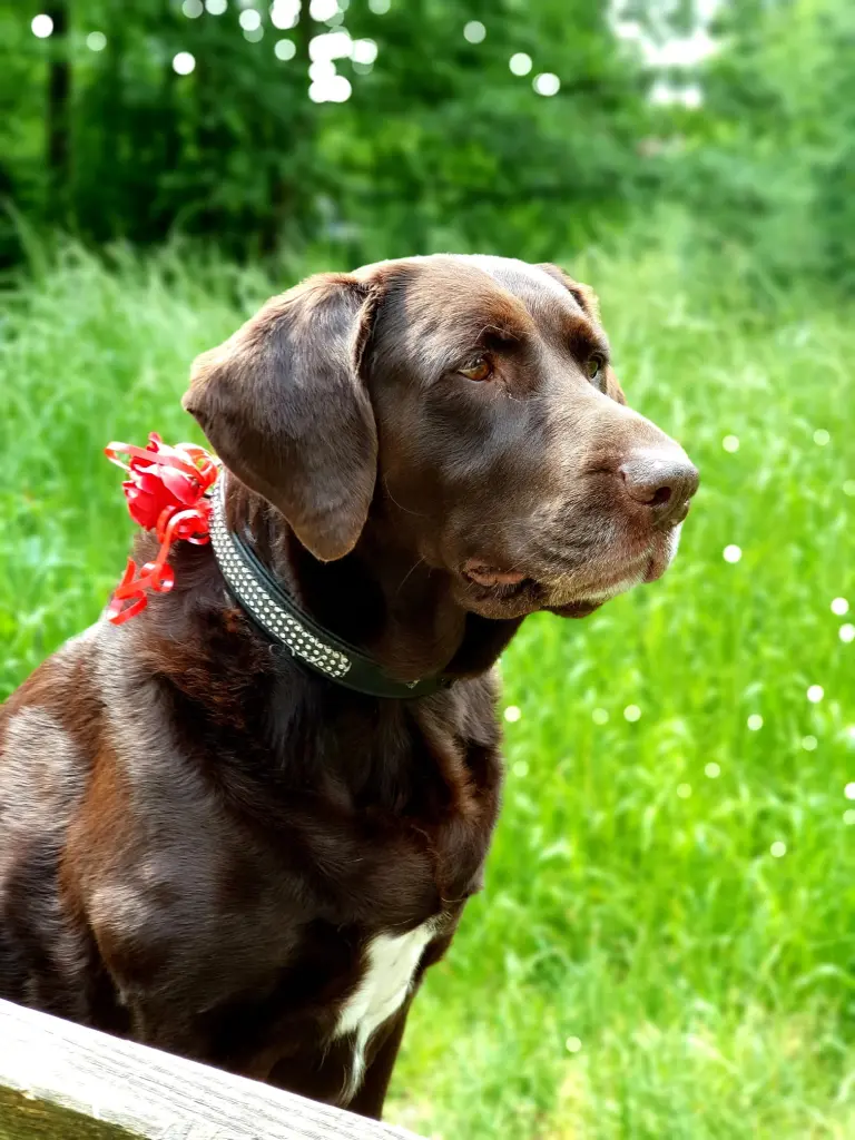 Andachtsbild von Angela Teich