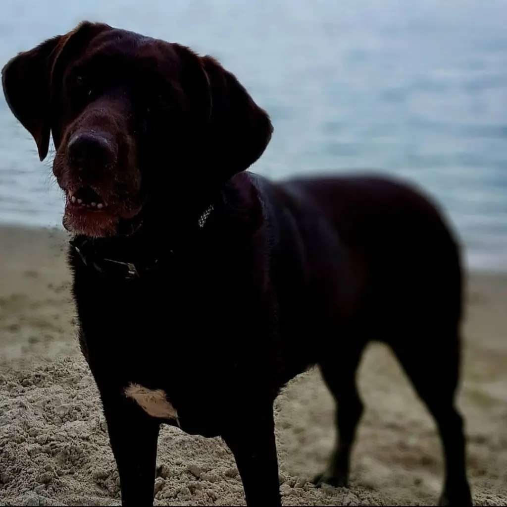 Bild von Wilma