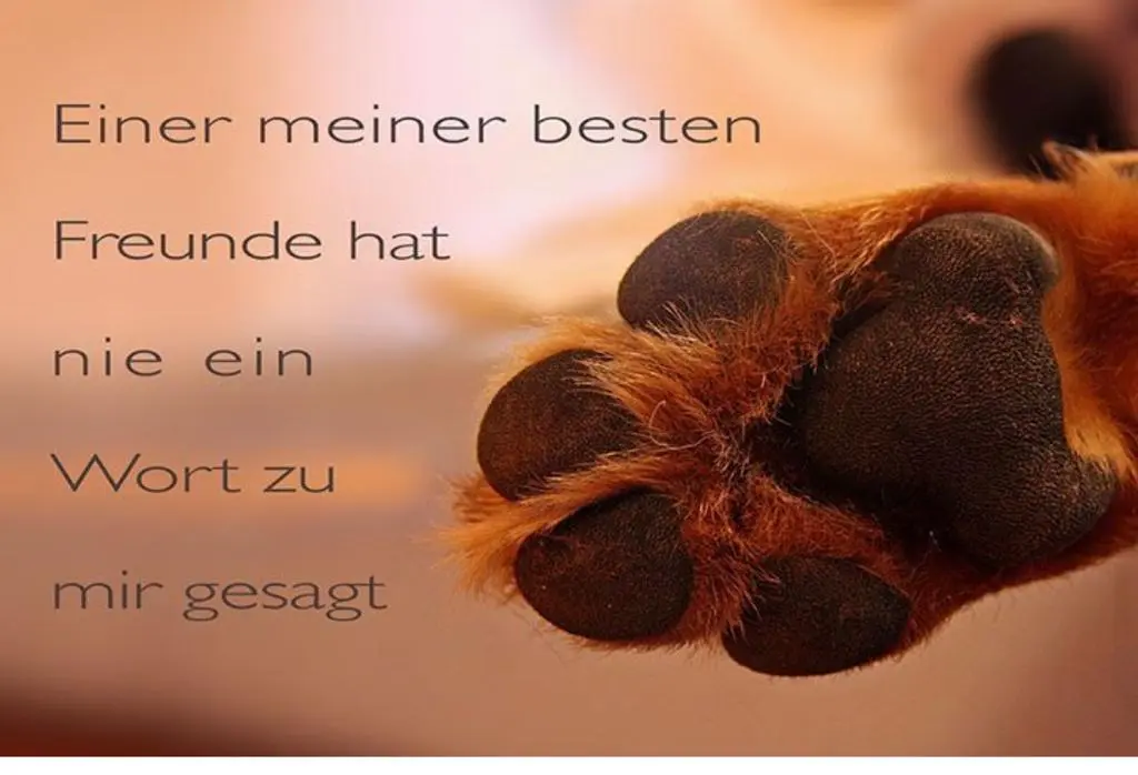 Andachtsbild von Heike