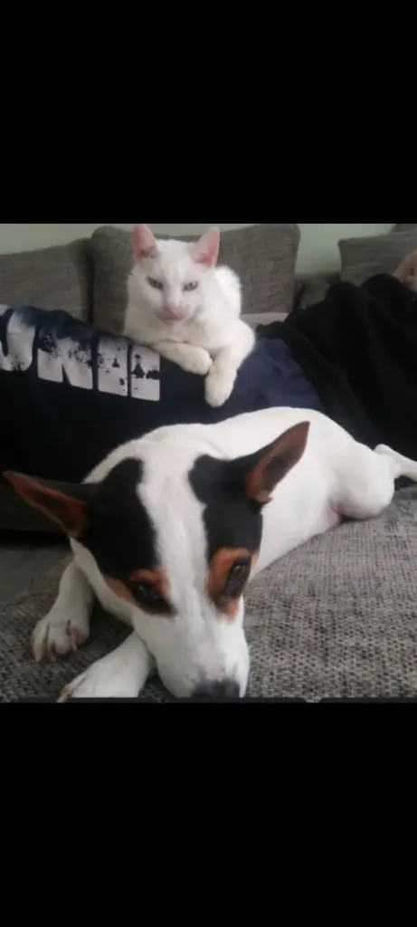 Andachtsbild von Anja&c