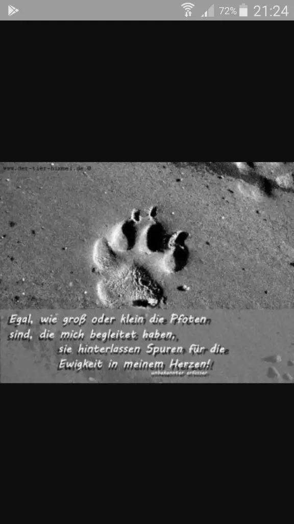 Condolence image of Deine Familie 