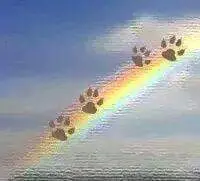 Condolence image of Deine Familie  Deine Familie 