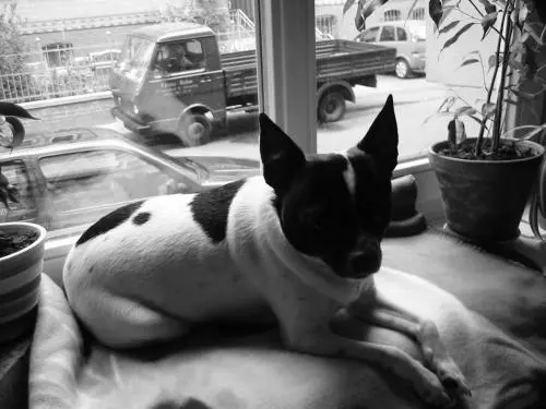 Image from Lucky