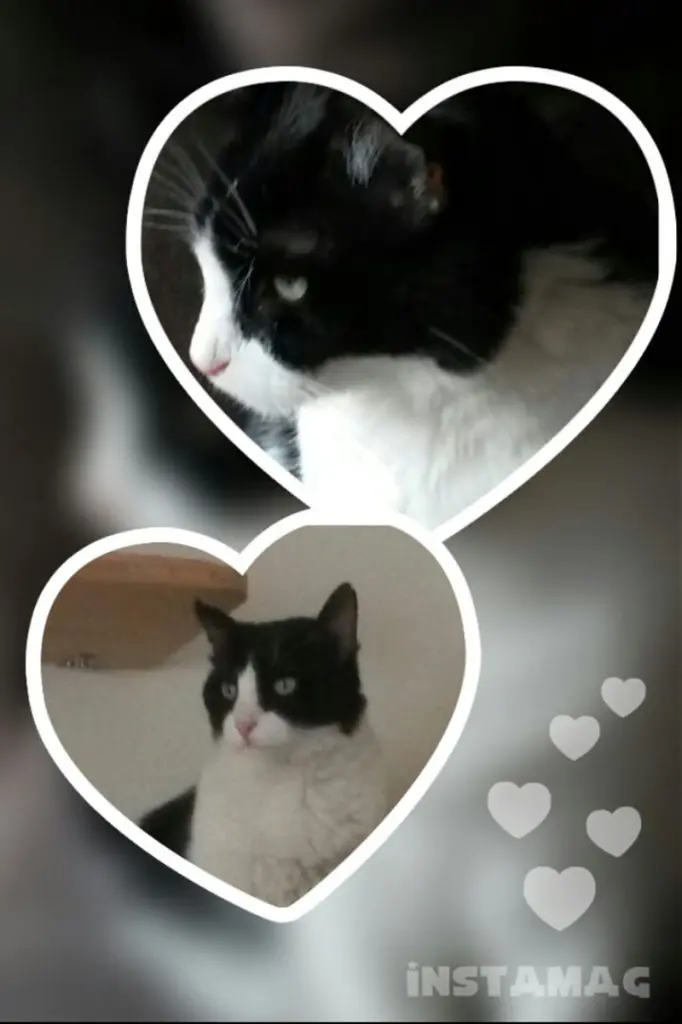Andachtsbild von Monika mit Carlo im Herzen