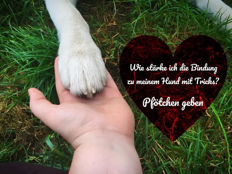 Bild von Kylar Stern