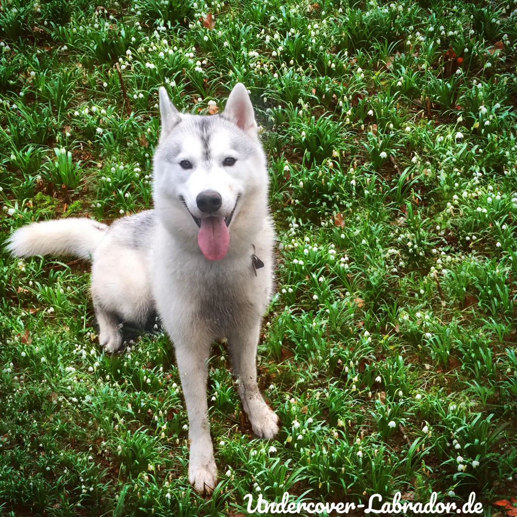 Bild von Kylar Stern