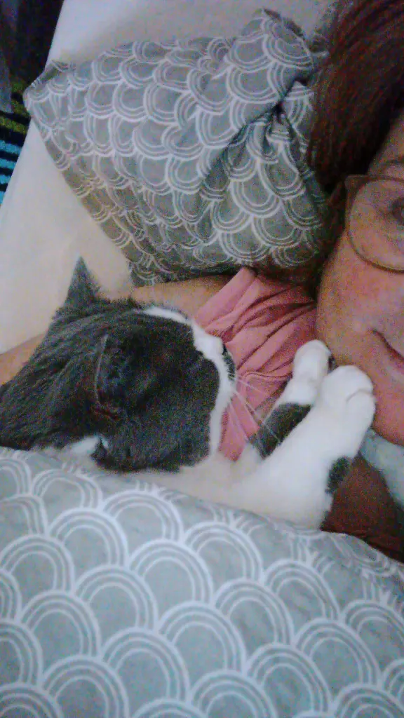 Andachtsbild von Deine Mama 