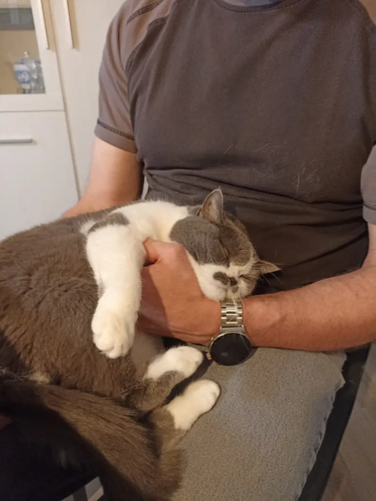 Andachtsbild von Dein Papa