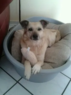 Condolence image of Petra Kreisz