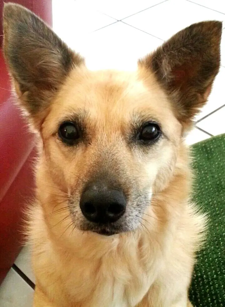 Condolence image of Petra 