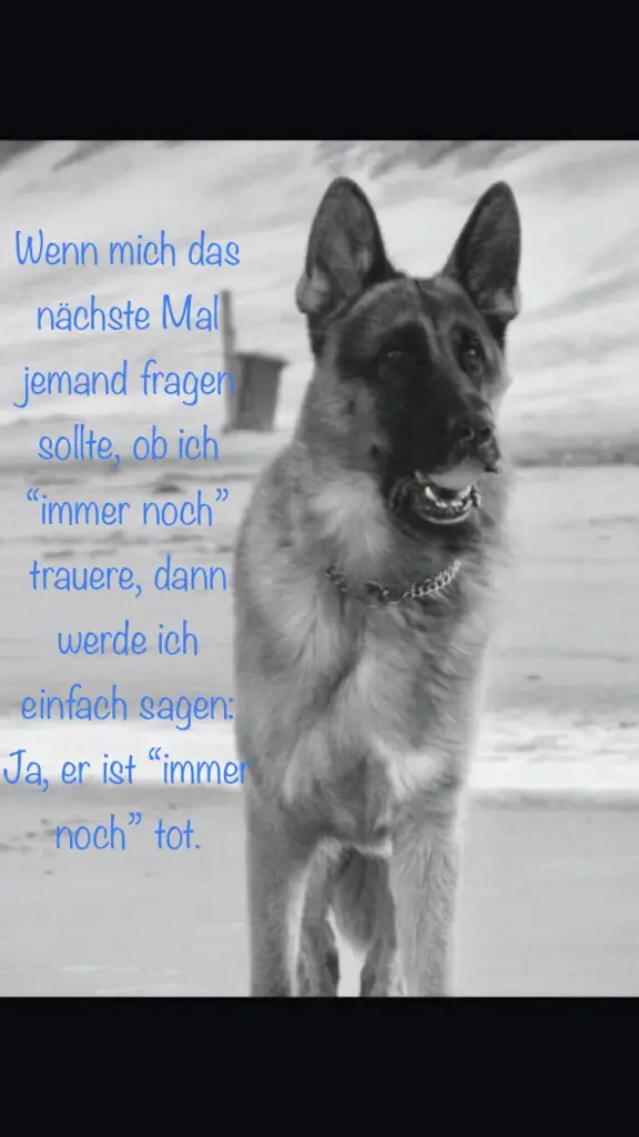 Condolence image of Nadine 