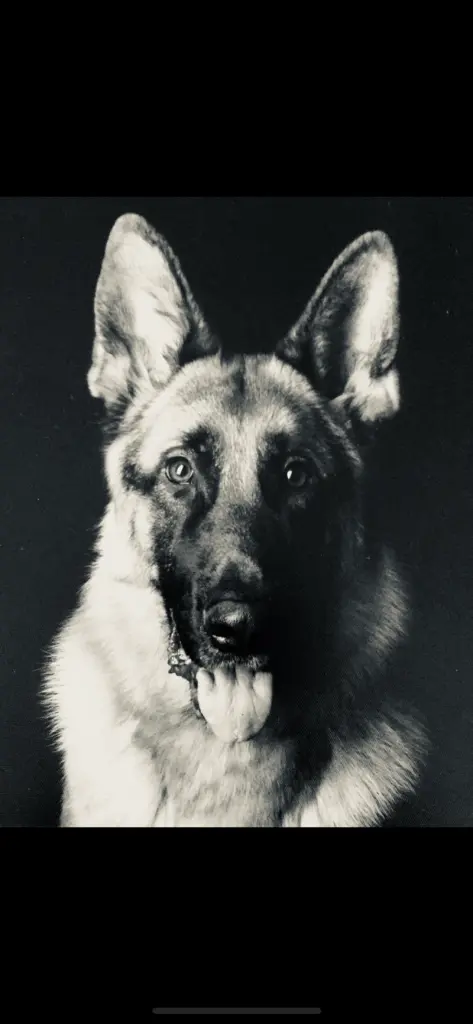 Condolence image of Nadine