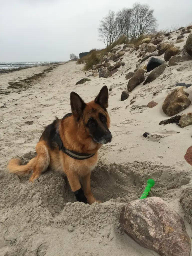 Condolence image of Nadine