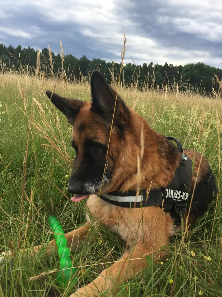 Condolence image of Nadine