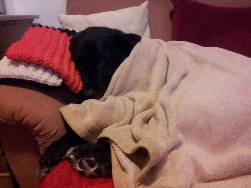 Andachtsbild von Andrea mit Apollo im Herzen