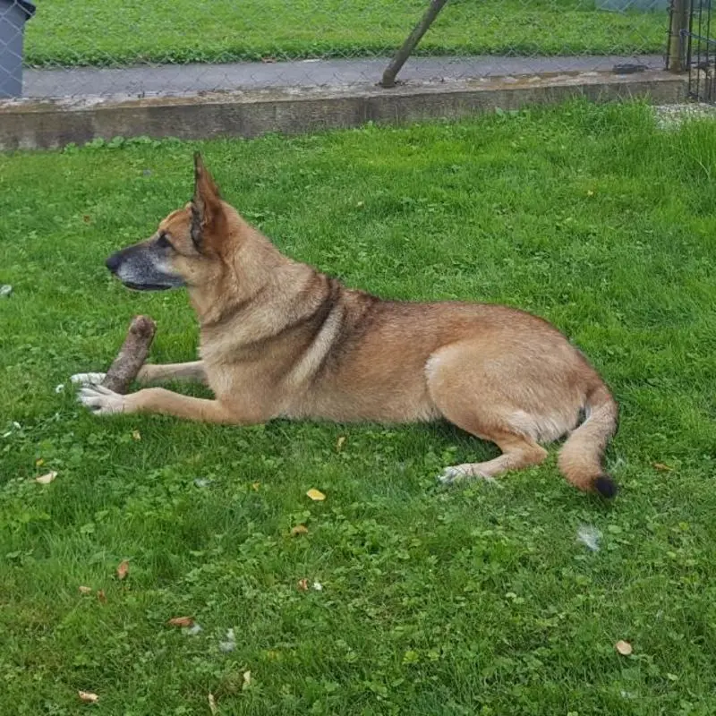 Andachtsbild von Claudia m. TARA im Herzen