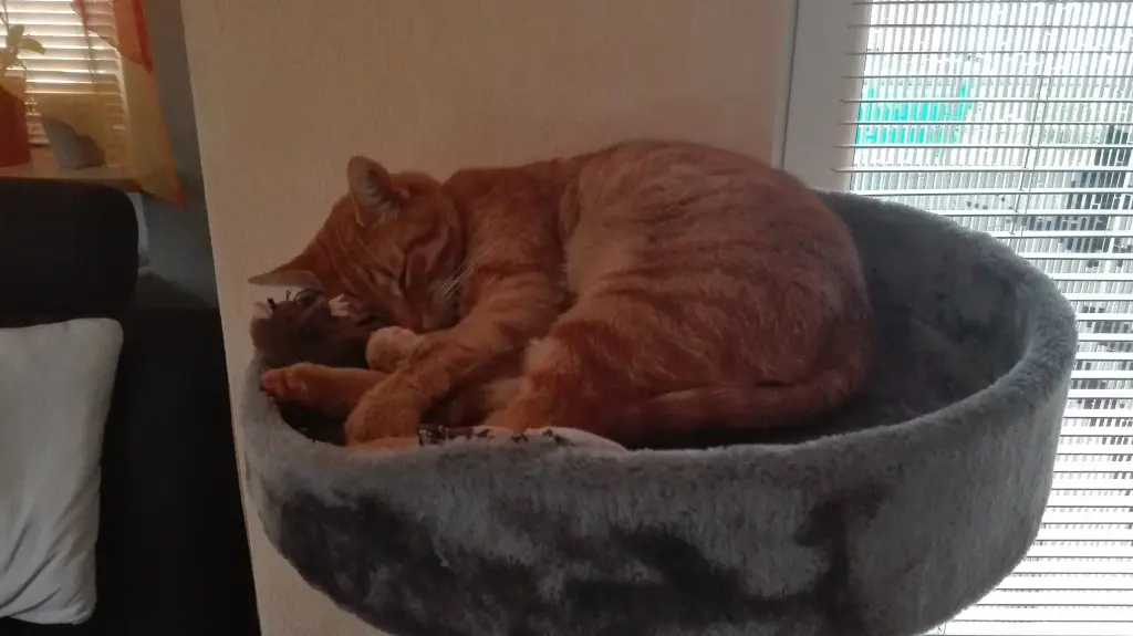 Condolence image of Gitty Tendera